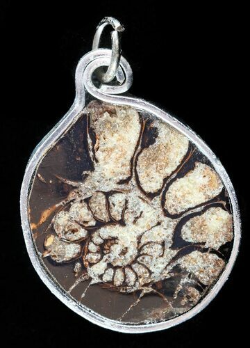 Moroccan Ammonite Fossil Pendant #58382